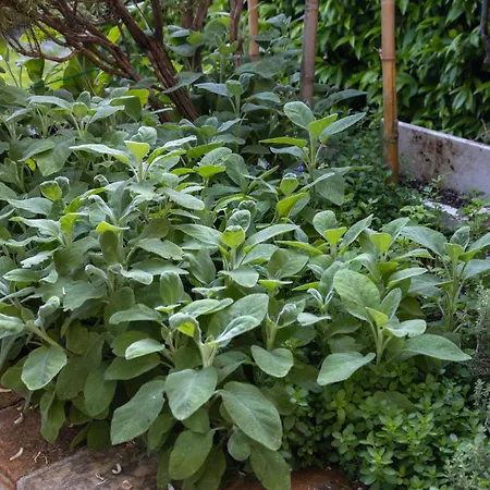 Bed & Breakfast Dimora Fontemaggio 4*