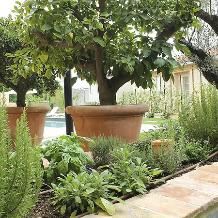 Dimora Fontemaggio Cossignano