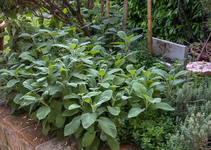 Bed & Breakfast Dimora Fontemaggio 4*